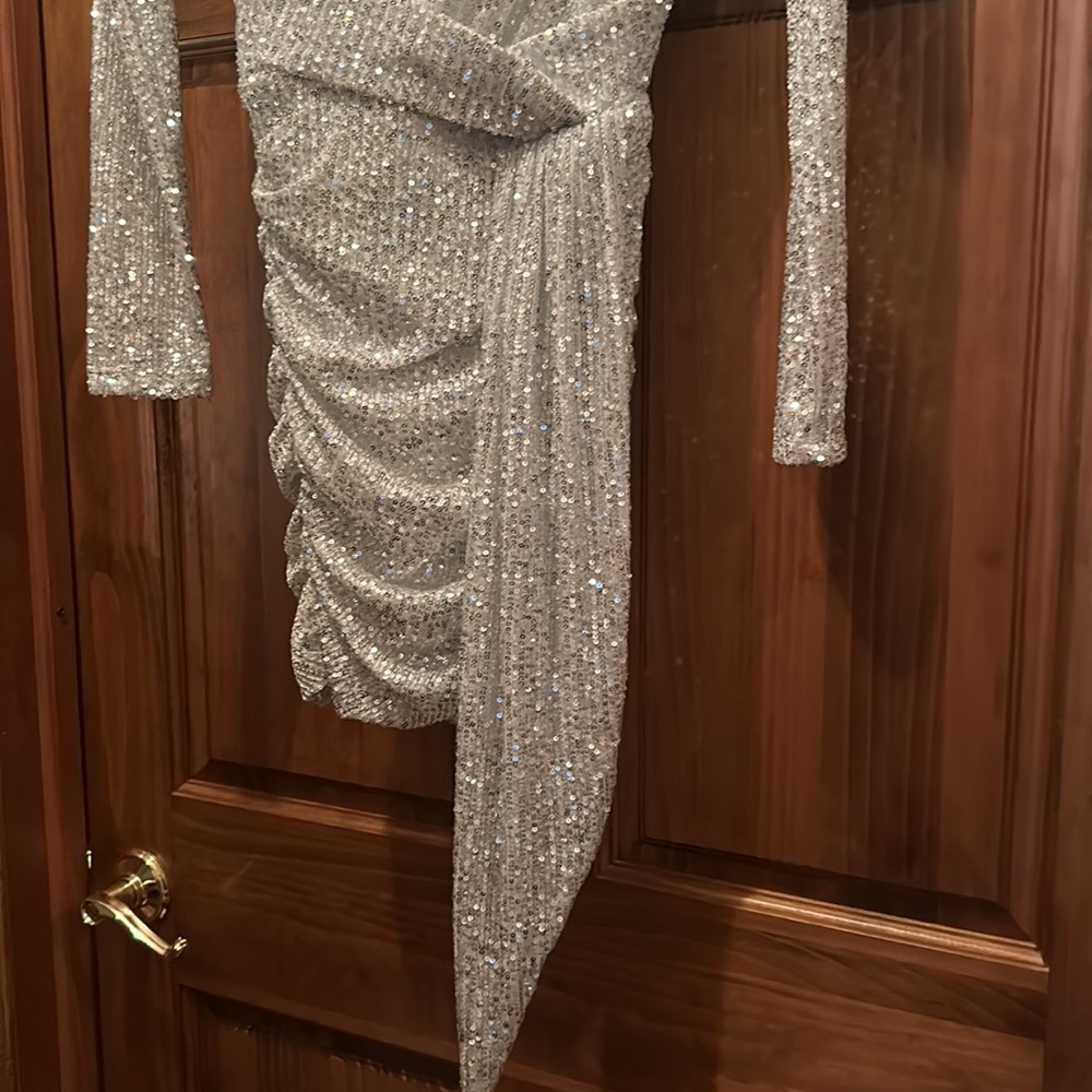 Elegant Silver Sequin dress NWT - Picture 5 of 9